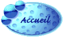 Retour  la page d'accueil