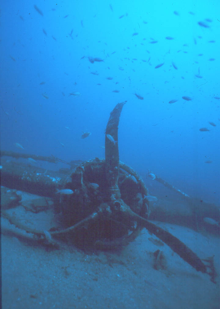 L'épave du Dornier (Var), gigantesque avion.